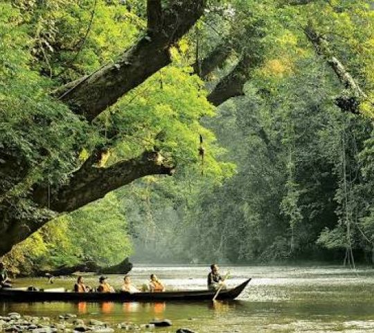 Taman Negara National Park Taman Negara National Park